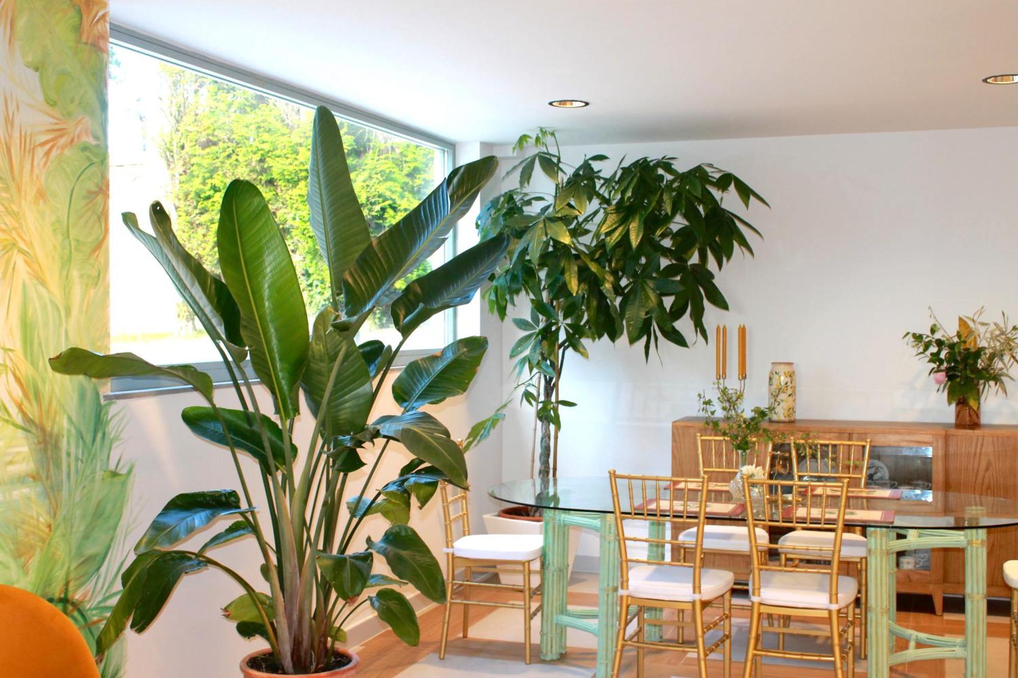Hotel Boutique Villa Del Marques Muros de Nalón 외부 사진