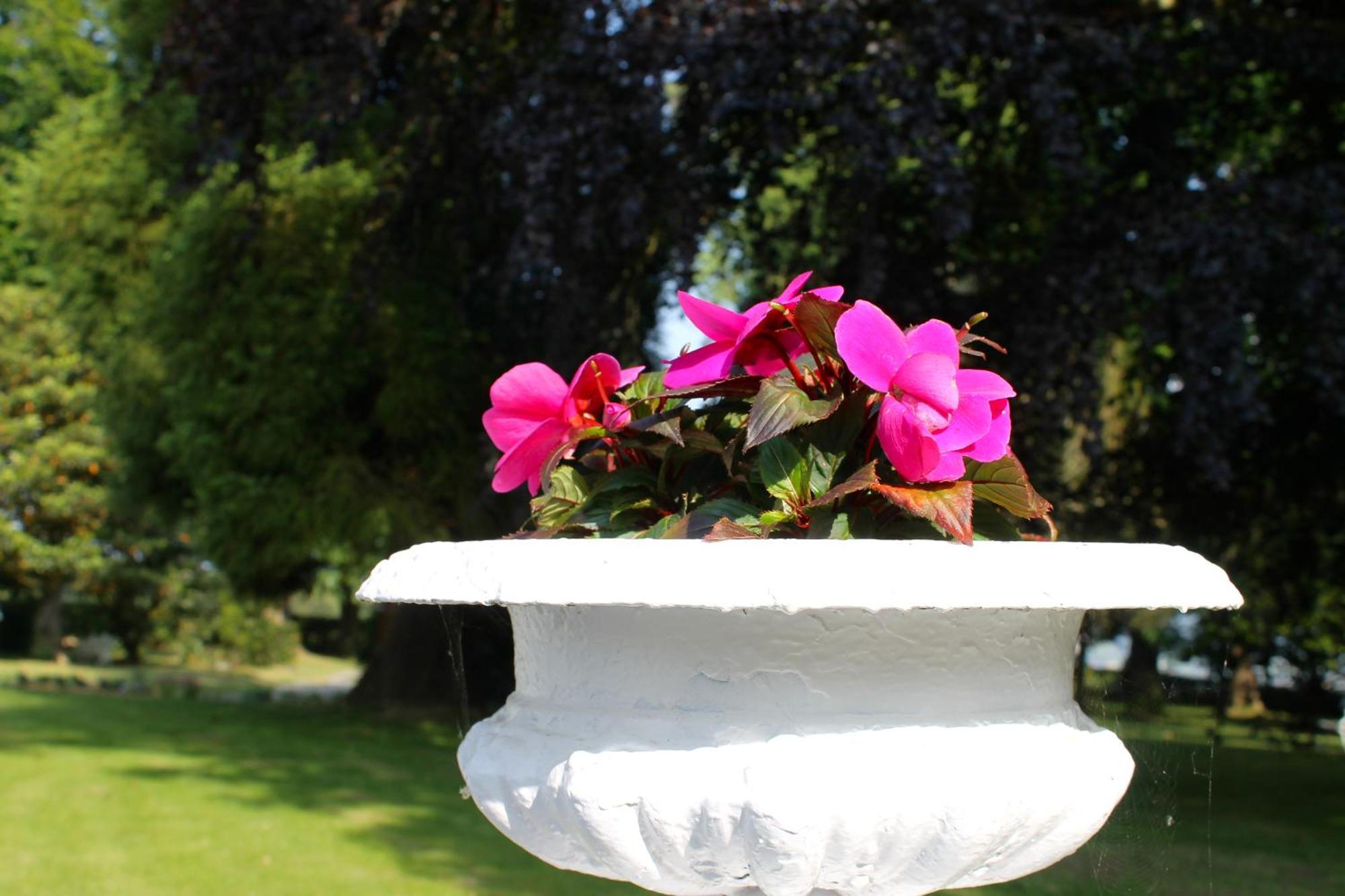 Hotel Boutique Villa Del Marques Muros de Nalón 외부 사진