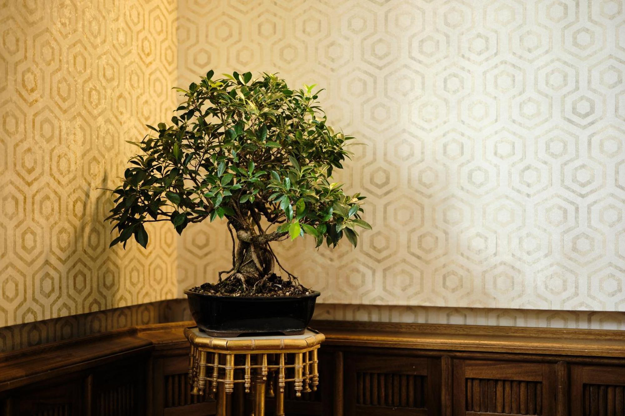 Hotel Boutique Villa Del Marques Muros de Nalón 외부 사진